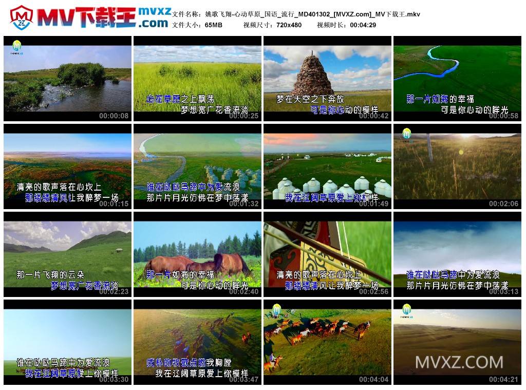 姚歌飞翔-心动草原_国语_流行_MD401302